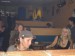 DSC03469.JPG